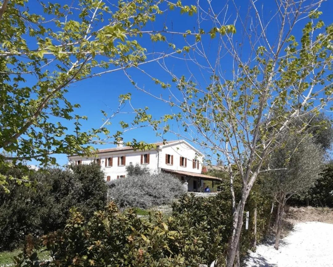 Castelleone di Suasa Rustico Del Bozzo 게스트하우스 외부 사진
