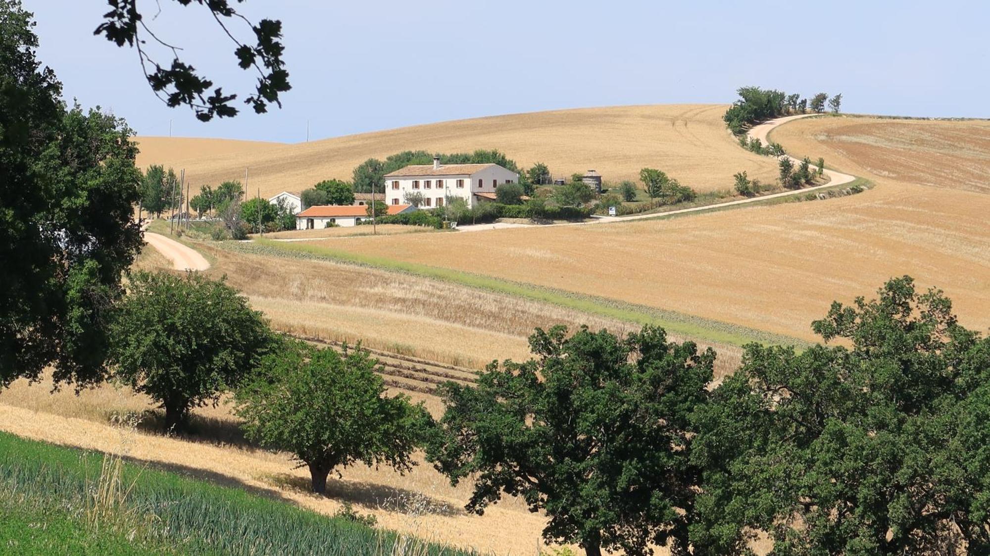 Castelleone di Suasa Rustico Del Bozzo 게스트하우스 외부 사진